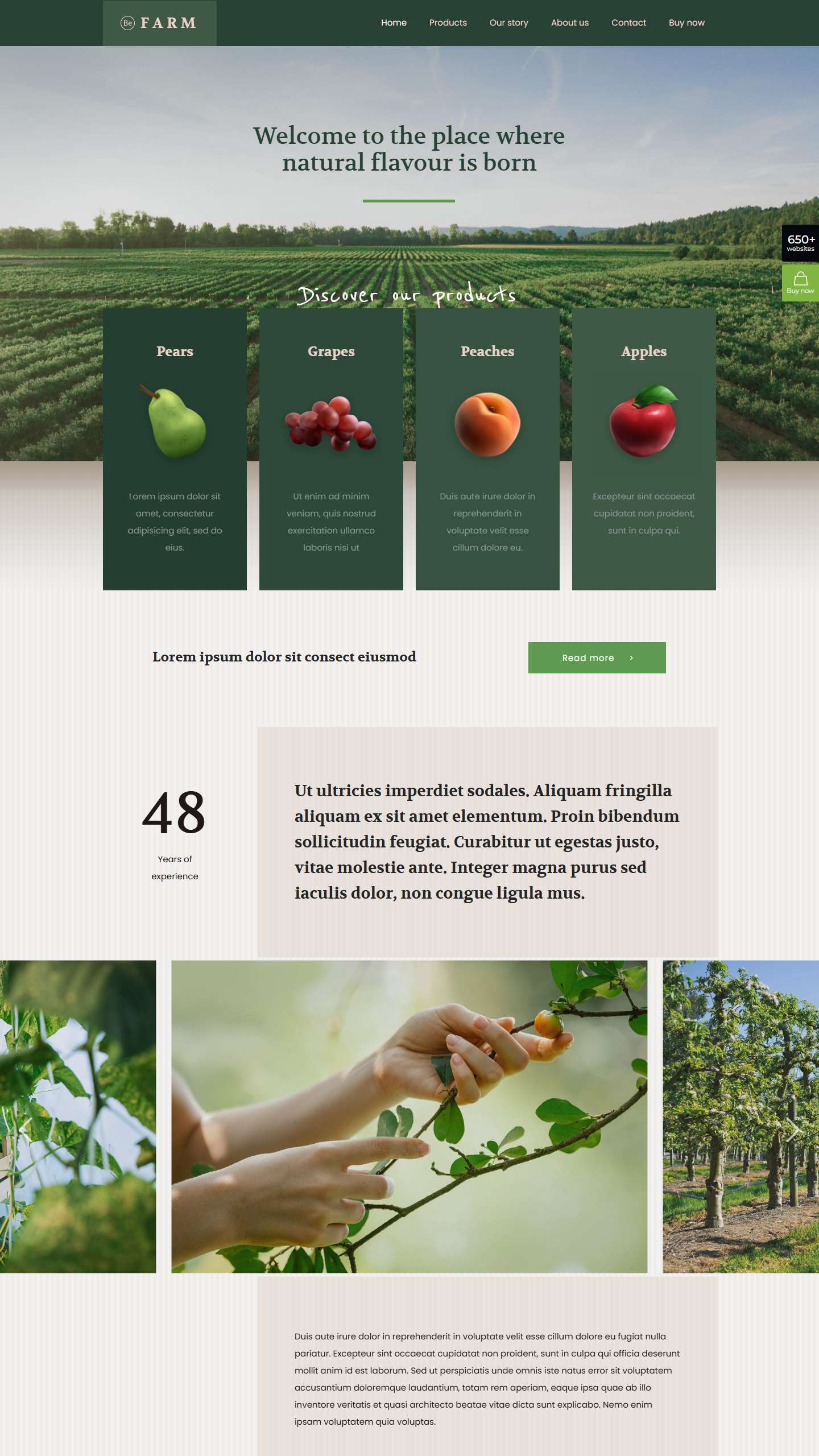 Befarm